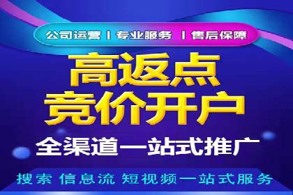 百度竞价赚钱案例：从零到月入过万